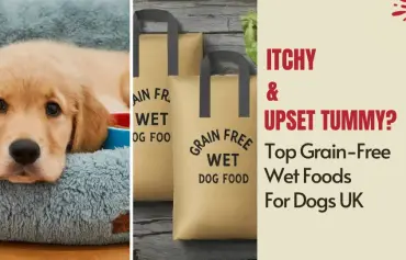 5 Best Grain Free Wet Dog Food UK: Our top Picks
